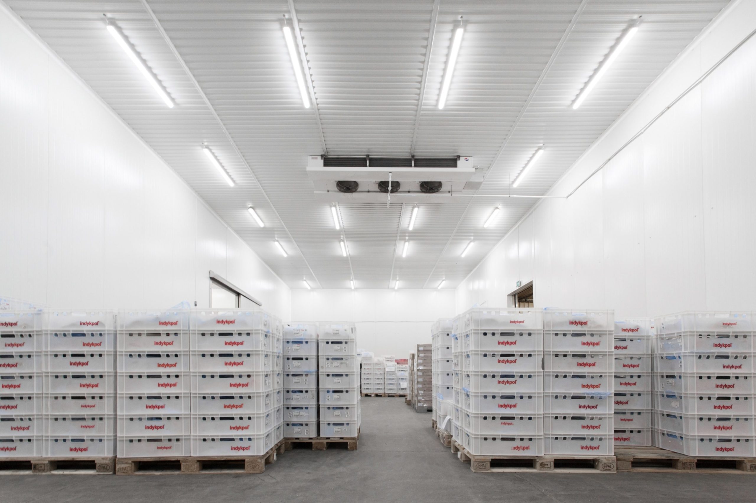 Oprawy Industrial w zmodernizowanym magazynie firmy Indykpol - Luxon LED